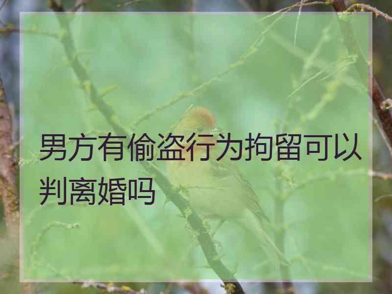 男方有偷盗行为拘留可以判离婚吗