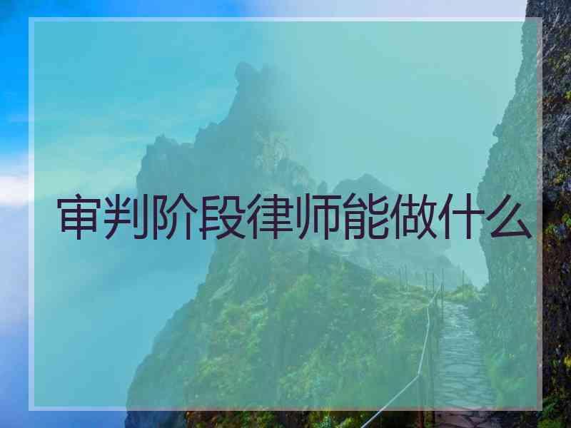 审判阶段律师能做什么