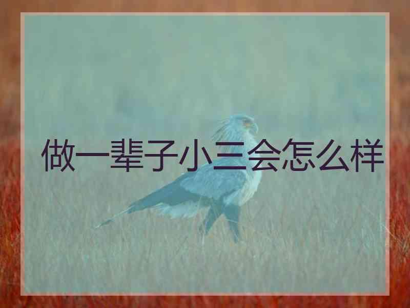做一辈子小三会怎么样