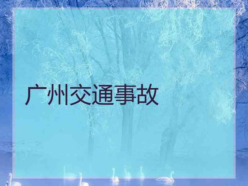 广州交通事故