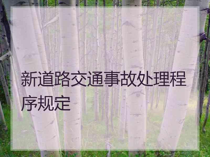 新道路交通事故处理程序规定