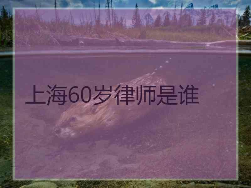 上海60岁律师是谁