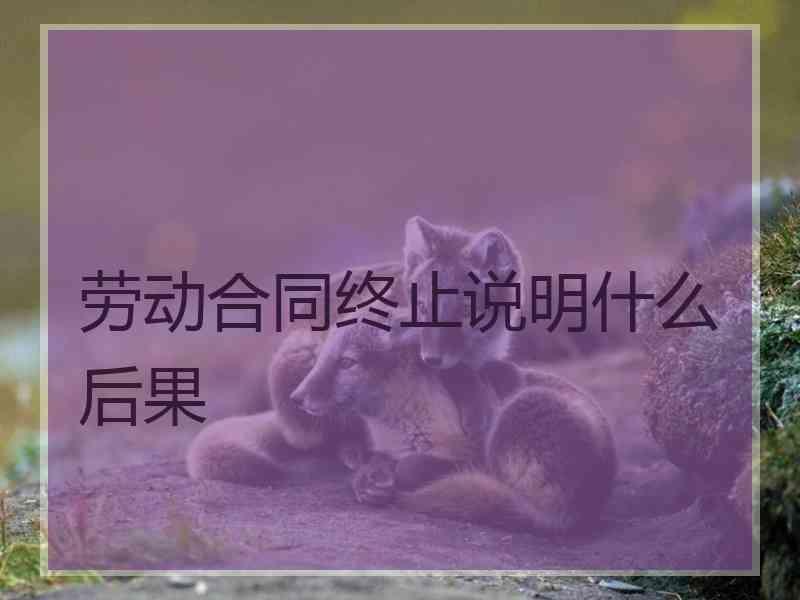 劳动合同终止说明什么后果