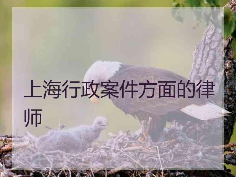 上海行政案件方面的律师