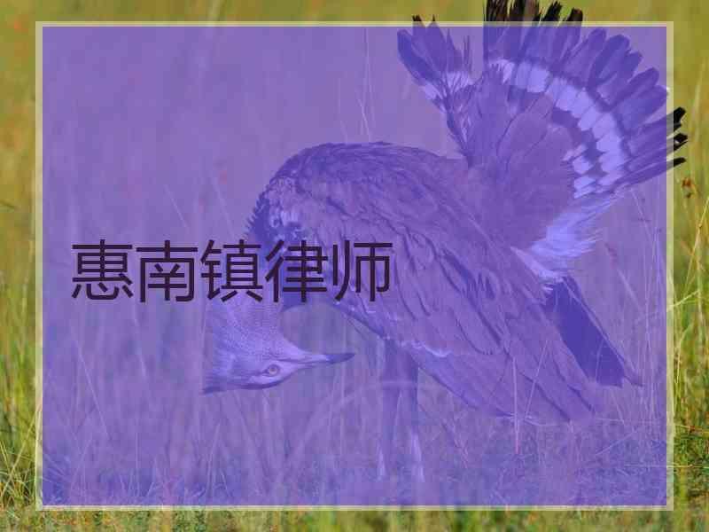 惠南镇律师