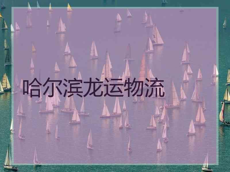 哈尔滨龙运物流