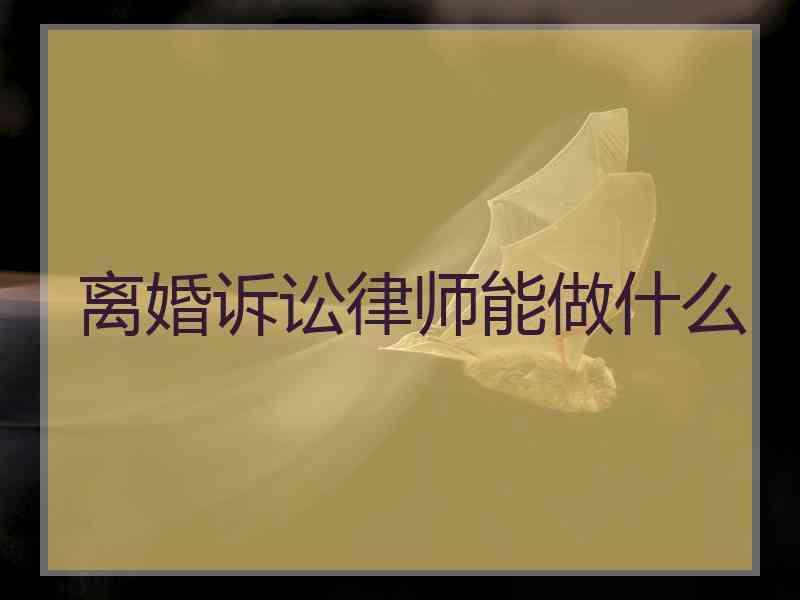 离婚诉讼律师能做什么