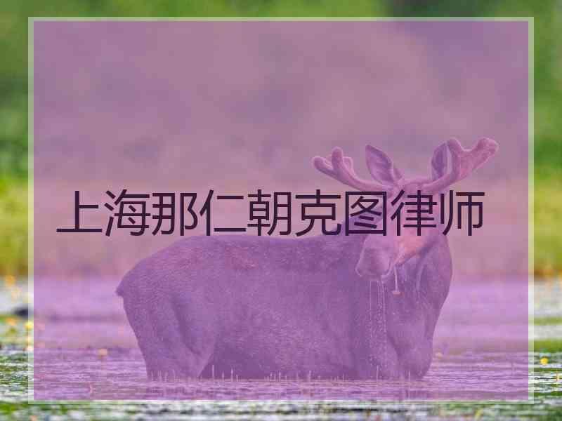 上海那仁朝克图律师