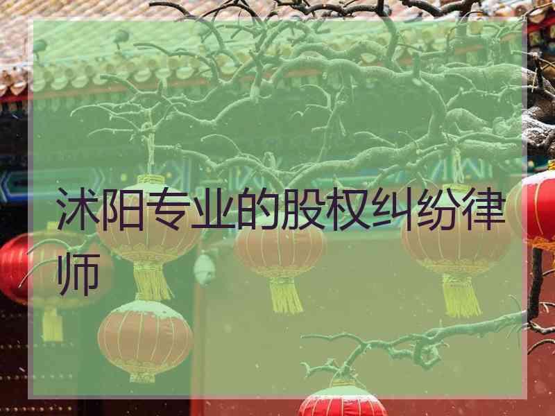 沭阳专业的股权纠纷律师