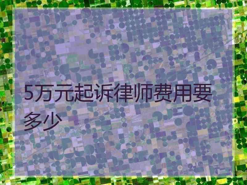 5万元起诉律师费用要多少