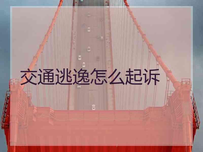 交通逃逸怎么起诉