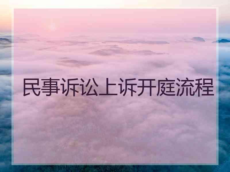 民事诉讼上诉开庭流程