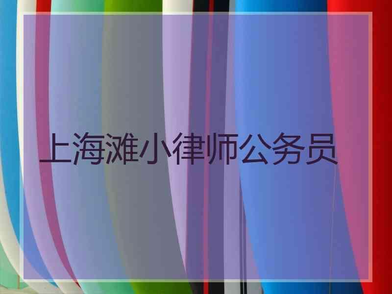 上海滩小律师公务员