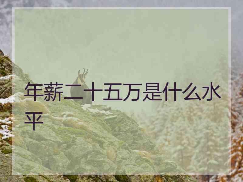 年薪二十五万是什么水平
