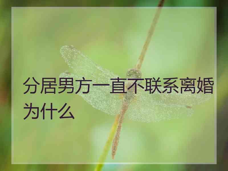 分居男方一直不联系离婚为什么