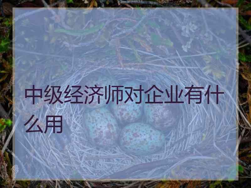 中级经济师对企业有什么用