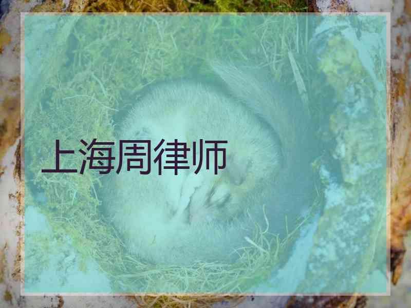 上海周律师