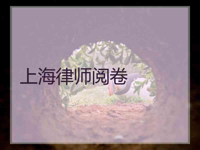上海律师阅卷