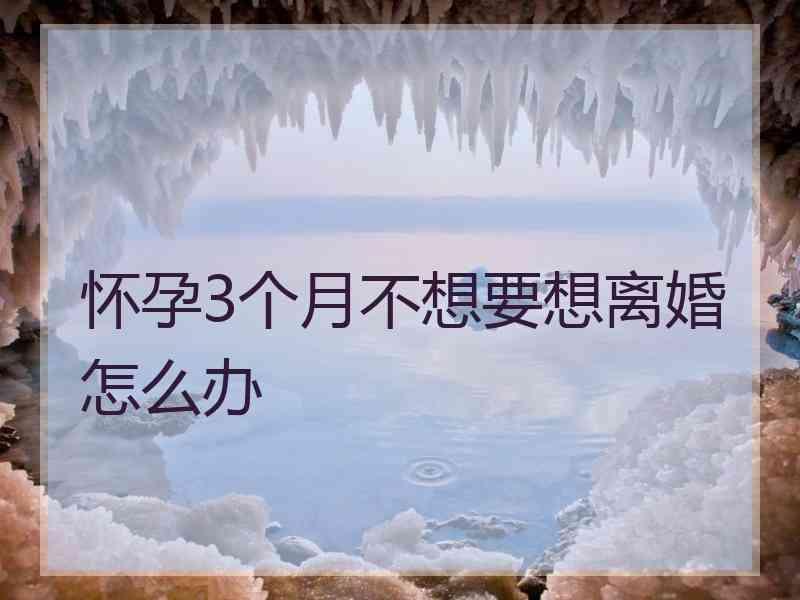 怀孕3个月不想要想离婚怎么办