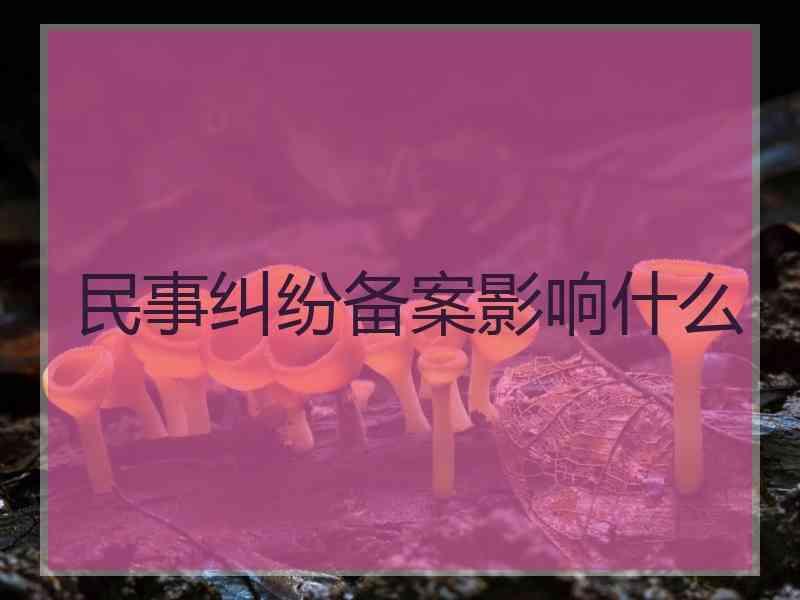 民事纠纷备案影响什么