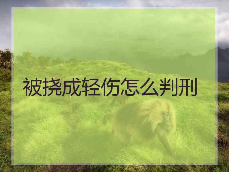 被挠成轻伤怎么判刑