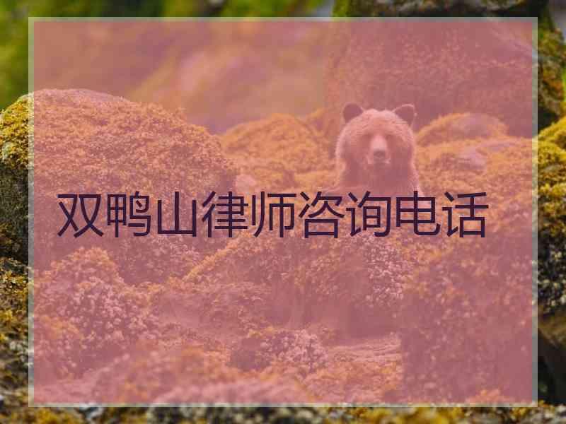 双鸭山律师咨询电话