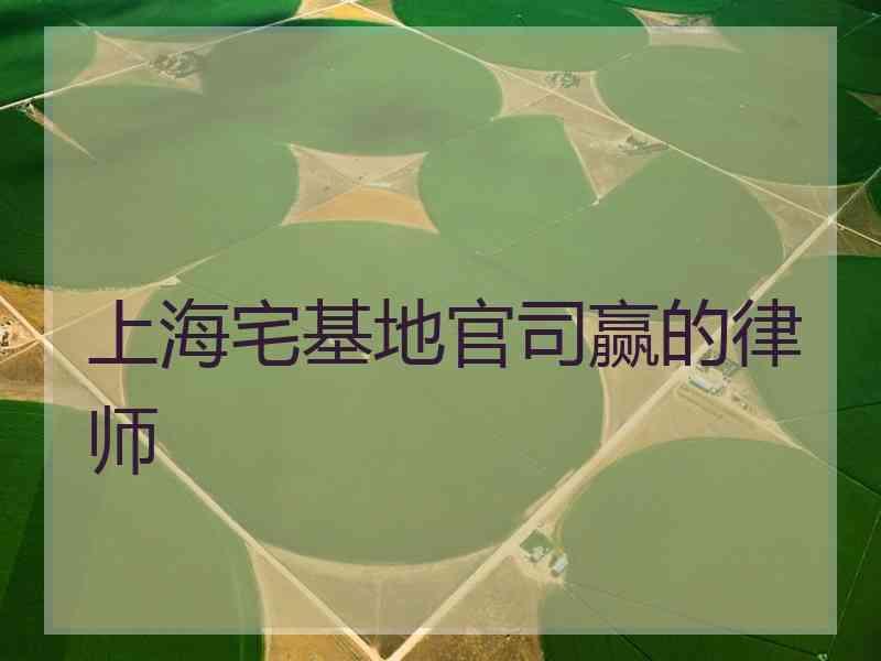 上海宅基地官司赢的律师