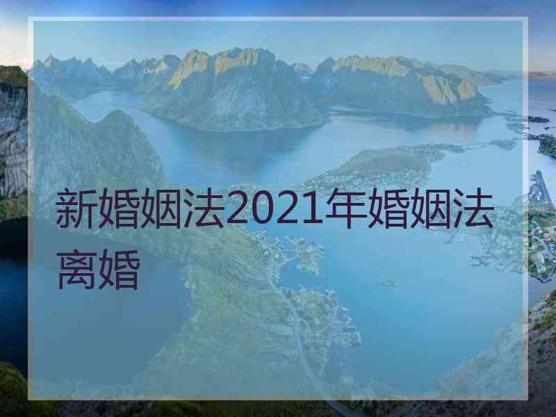 新婚姻法2021年婚姻法离婚