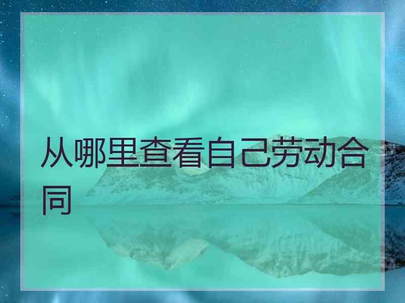 从哪里查看自己劳动合同