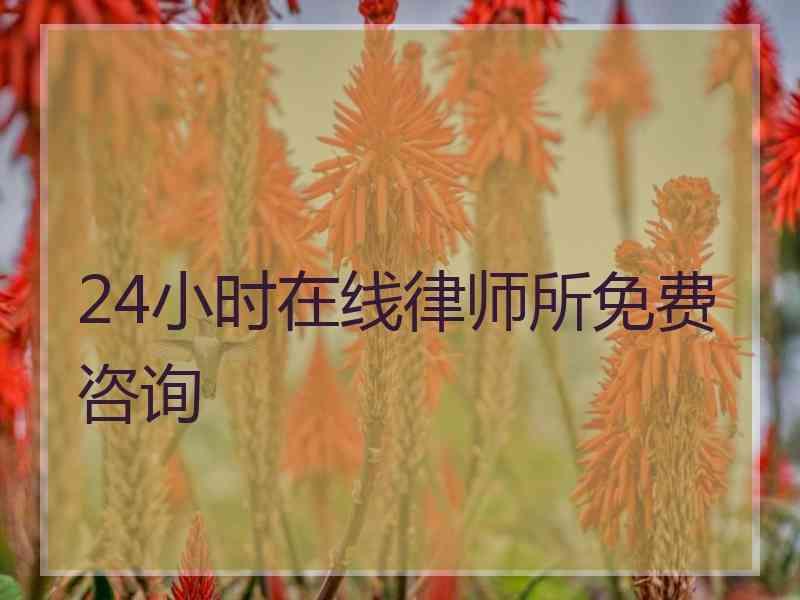 24小时在线律师所免费咨询