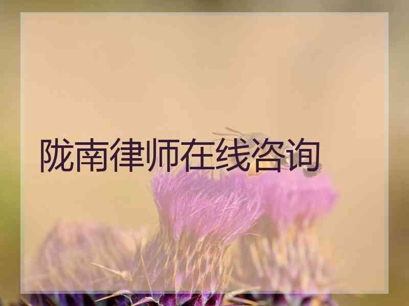 陇南律师在线咨询