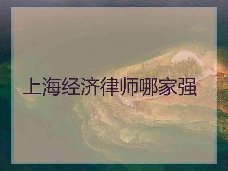 上海经济律师哪家强