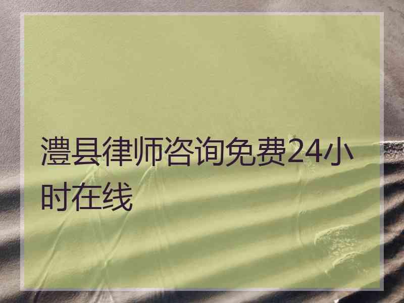 澧县律师咨询免费24小时在线