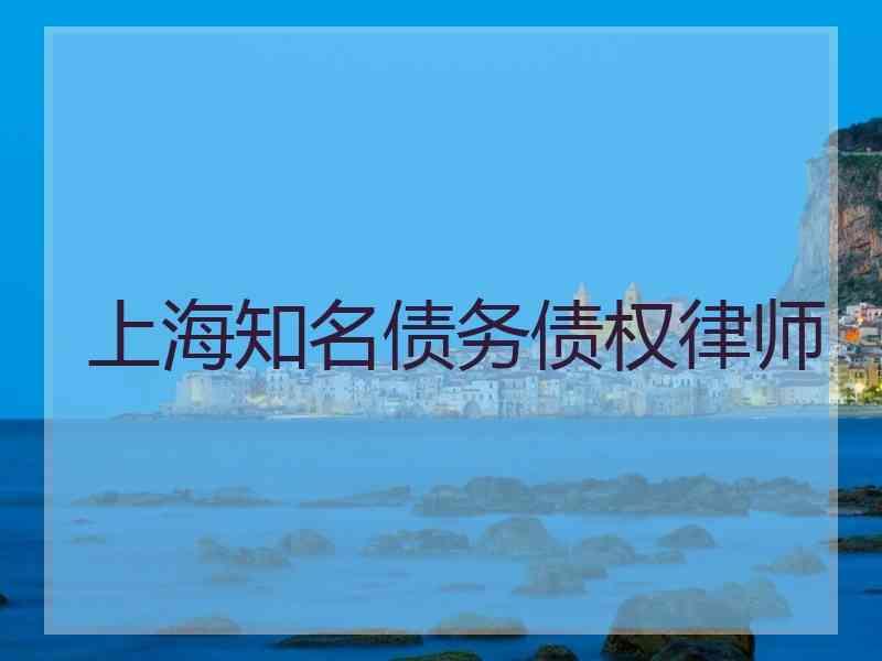 上海知名债务债权律师