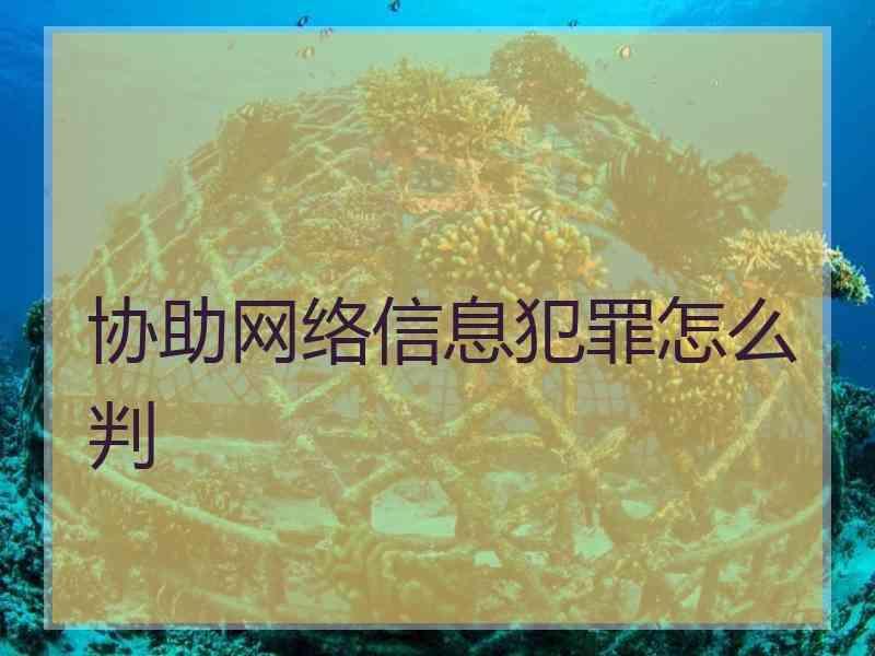 协助网络信息犯罪怎么判