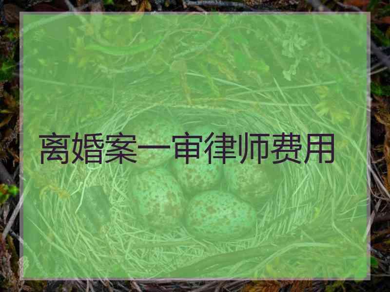 离婚案一审律师费用