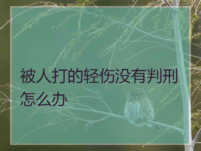 被人打的轻伤没有判刑怎么办