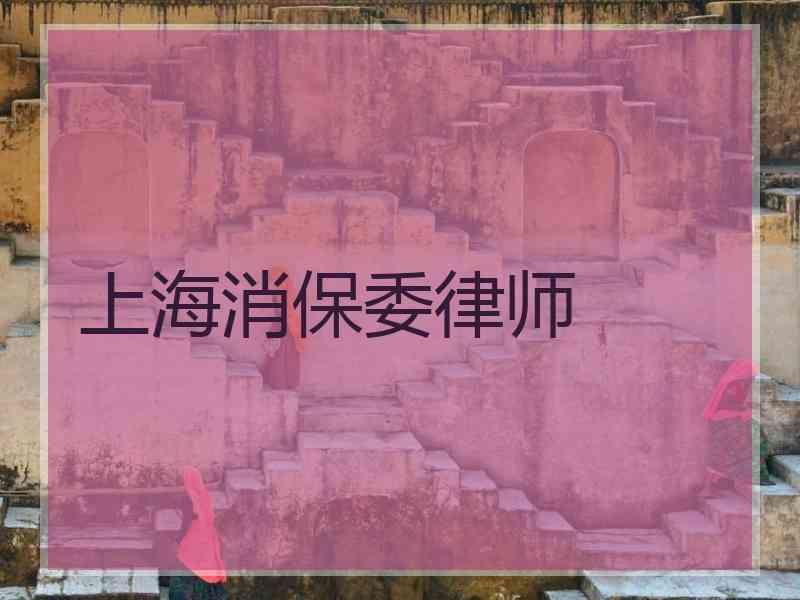 上海消保委律师