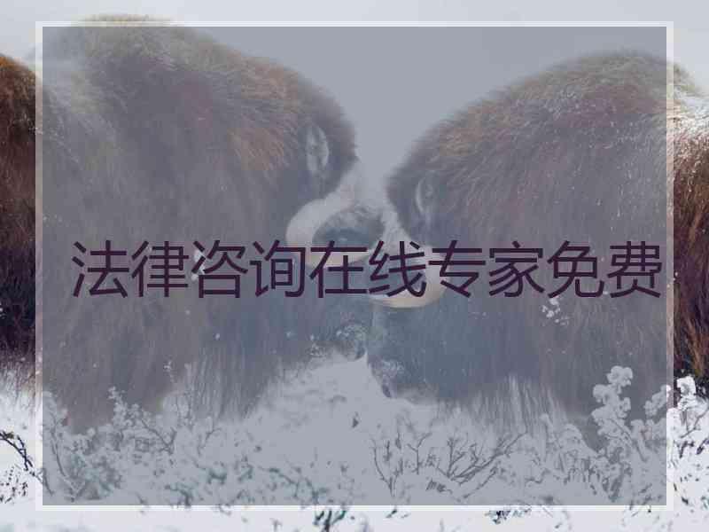 法律咨询在线专家免费