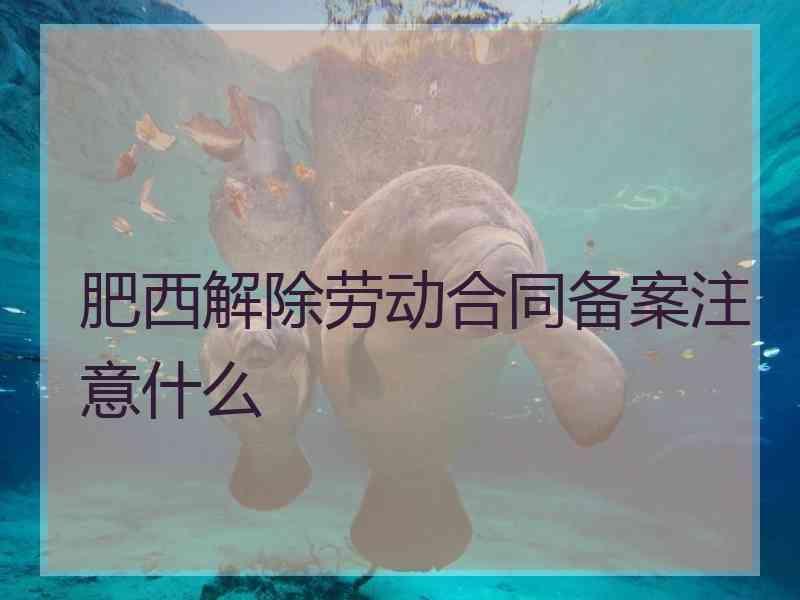 肥西解除劳动合同备案注意什么