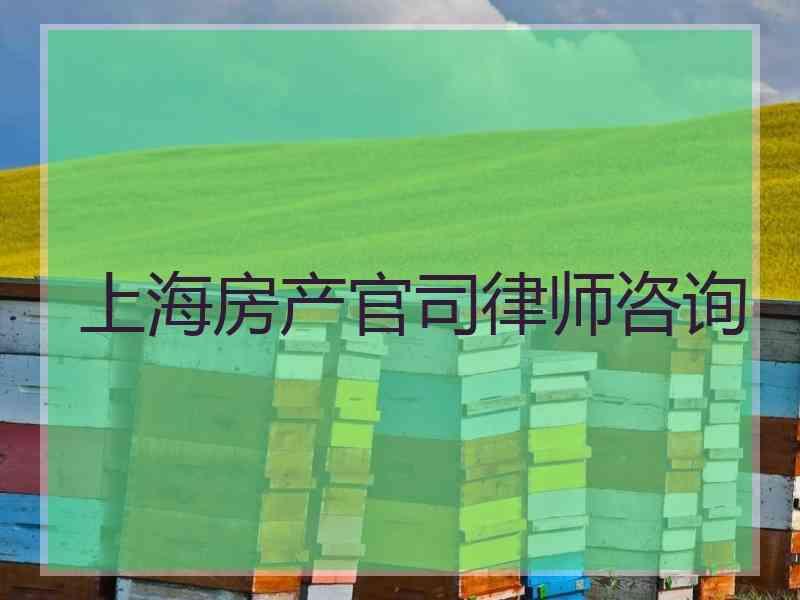 上海房产官司律师咨询