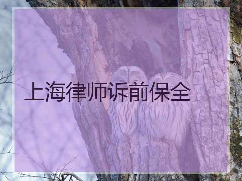 上海律师诉前保全