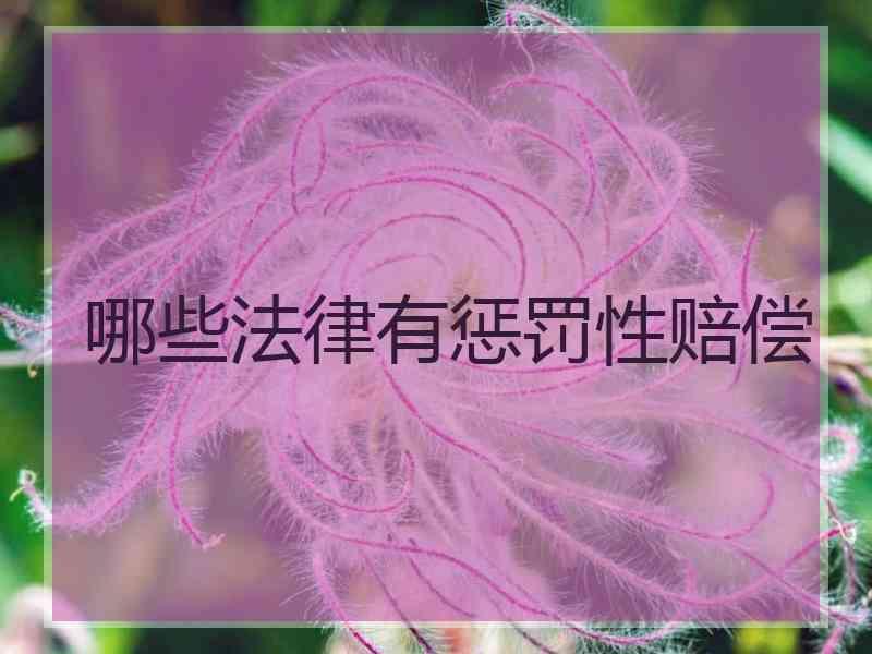 哪些法律有惩罚性赔偿