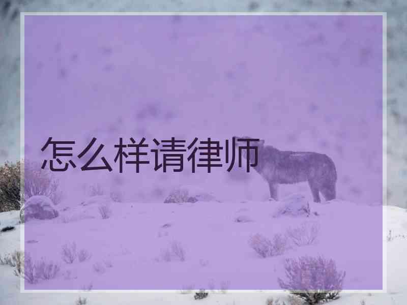 怎么样请律师