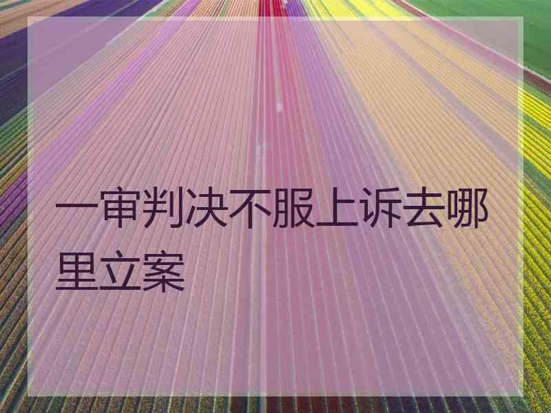 一审判决不服上诉去哪里立案