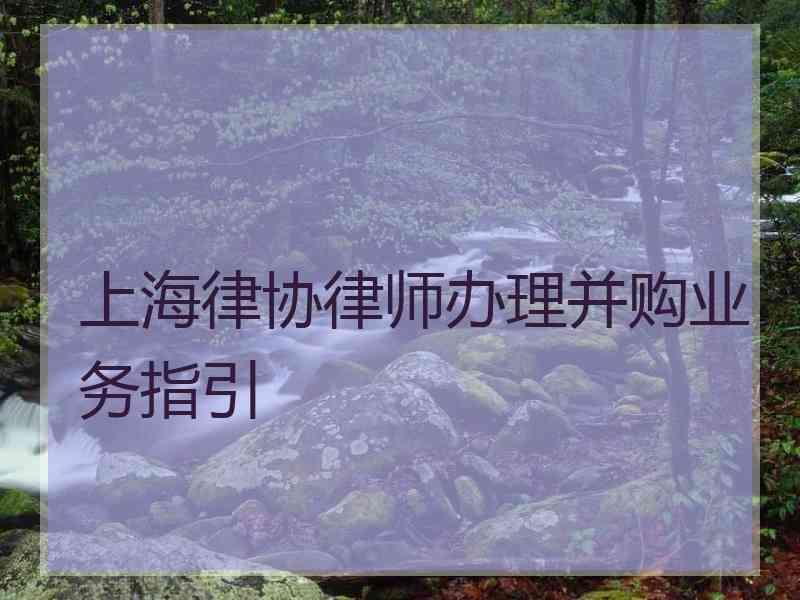 上海律协律师办理并购业务指引