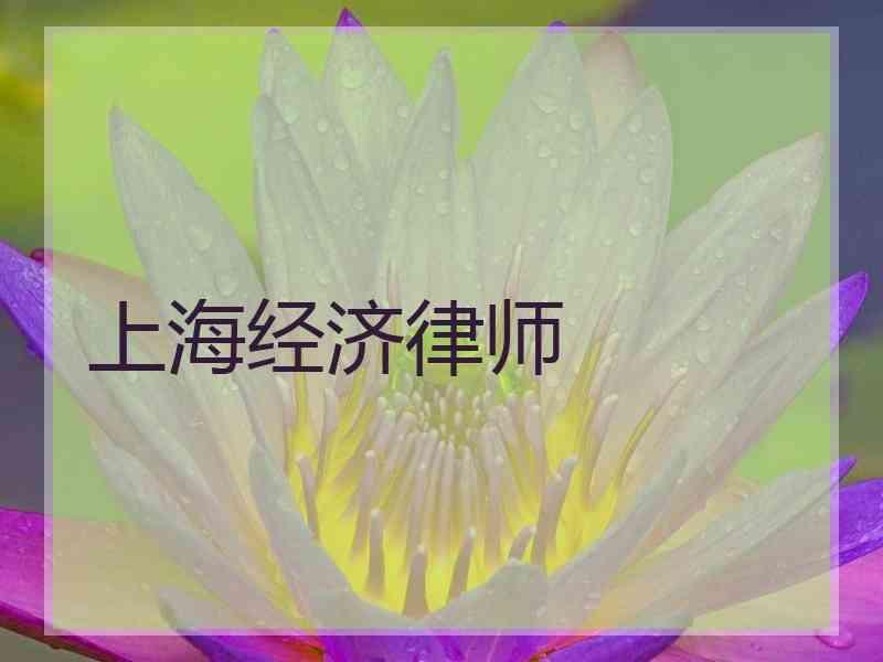 上海经济律师