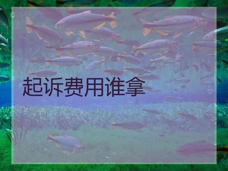 起诉费用谁拿