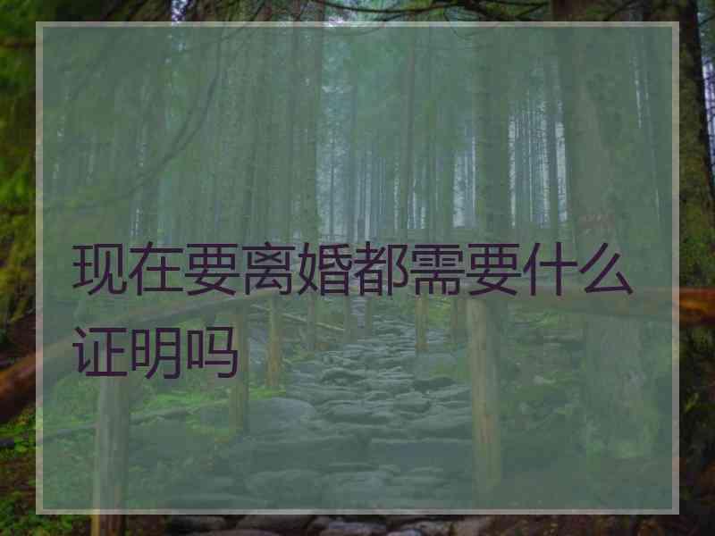 现在要离婚都需要什么证明吗