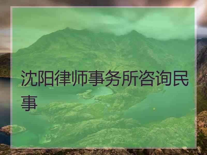 沈阳律师事务所咨询民事